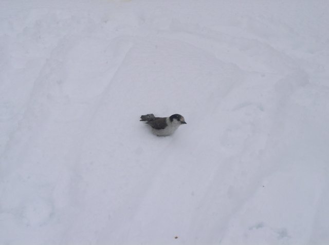 Ghost Ridge-Twin Lakes 032 